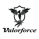 Valor Safe Company Valor Safe Company