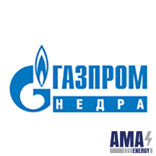 LLC Gazprom Nedra