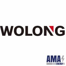 Wolong Electric Group