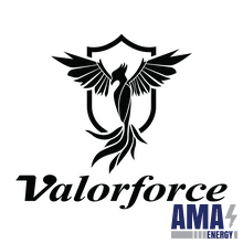 Valor Safe Company