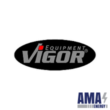 Vigor Company