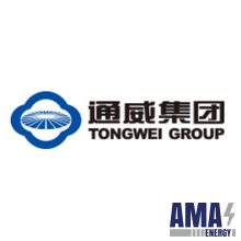 Tongwei Co., Ltd.