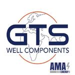 GTS Wells Components GTS Wells Components