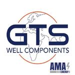 GTS Wells Components