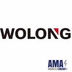 Wolong Electric Group