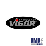 Vigor Company