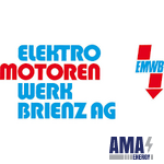 Elektromotorenwerk Brienz AG (EMWB)