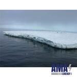 Iceberg Research