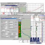 Software Package for Processing CO, SGK, AINK Logpwin-AIMS