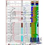 The Technology of Separating Reservoirs and Determining the Coefficient of oil and gas Saturation by a Complex of Neutron Methods for Chlorine