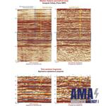 2D Seismic survey