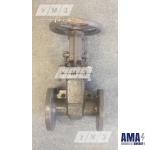 Cast iron Parallel gate valve 30Ch6Br Ru10