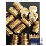 Grub Screws (Std/Non-Std, SS, MS, HTS, Inconel, Brass)