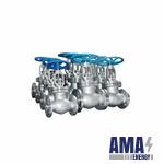 OUWEI GLOBE VALVE
