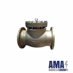OUWEI Swing Type Check Valve