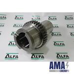 CHUCK AR50406875