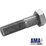 Bolt GOST 7798-70