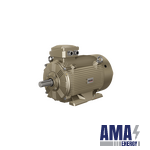 WE series three-phase Asynchronous motors