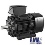 FLSHRM Electric motor
