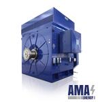 Nidec ASI HV Large Induction Motor