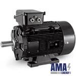 LSHRM Electric motor
