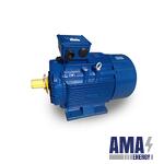 MAX-E3 Three-Phase IE3 Premium Motor