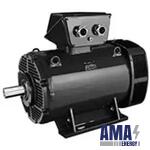 PLSHRM Electric motor