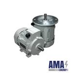 ACI-Pmab020 Electric motor