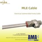 MLE Cable