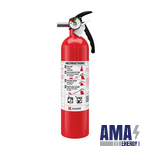 Basic 10 Fire Extinguisher