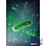 Evabio™ Bactericides