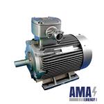 YBX4 Series Flameproof Ultra‑High‑Efficiency Three‑Phase Asynchronous Motor