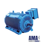 AC Squirrel Cage Induction Motor