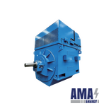 Large-sized Synchronous Motor