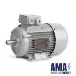 General Purpose LOW Voltage IEC MOTOR IE3 (6Rn80M04E32U241081)