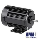 Metric 42R Series AC Motor, Model 1358