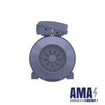 	Terramax® Cast Iron Motor, 503 HP, 3 Ph, 50 Hz, 415 V, 1500 RPM, 355L Frame, TEFC