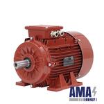 GTXM3E 355 L 2f B35 – Three‑Phase Asynchronous motor (Zone 22)