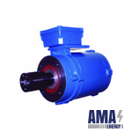 Grinder Drive Type F100L-2W