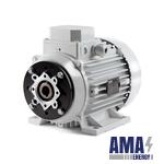 HST1 132MC/4 Hollow Shaft Asynchronous Motor (11 kW)