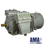 Medium Voltage Motors (TEFC – BBL Type MV)