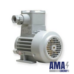 AOM 160M 02 (Three‑Phase Asynchronous Squirrel‑Cage motor, Flameproof Enclosure “d”)