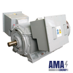 MS4 Series Medium‑Voltage Motor (Cast Iron Frame)