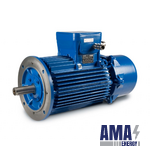 E..DB / E..DC Series – Flameproof Brake Motor (IE3-IE4)