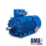 E..AB / E..AC Series – Flameproof Asynchronous Motor (IE3-IE4)