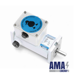 LEESON White Duck™ Sub-Fractional Motor, 0.13 HP, 12 V, 1750 RPM, 31 Frame, TENV (Model: M1120182.00 / Cm31D17Vz2)