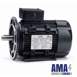 LEESON Aluminium Motor, 3 & 3 HP, 3 Ph, 60 & 50 Hz, 230/460 & 200/400 V, 3600 & 3000 RPM, 90L Frame, TEFC (Model: R399A / 090Lt34Fh6520