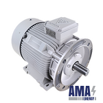 Three‑Phase Asynchronous Motor 225M4B (45 kW)