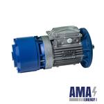Bah‑Bahx Series Brake Motor (Marine & Harsh Environment)
