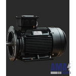 IE4 Premium Efficiency Electric Motor